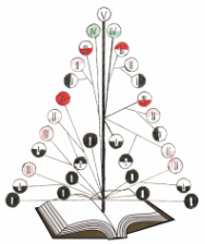 Системная информационная онтогенетическая модель человека (иллюстрация из монографии «Системная семиотика болезней человека и общества»